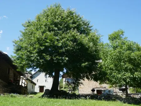 Rustico Ingrid (MVA338), Maison 4 personnes à Malvaglia - Photo 22