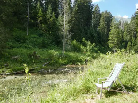 Felice, Maison 5 personnes à Olivone - Photo 31