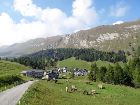 Felice, Maison 5 personnes à Olivone - Photo 41