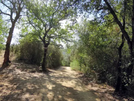 Oca, Maison 2 personnes à Roccastrada - Photo 23