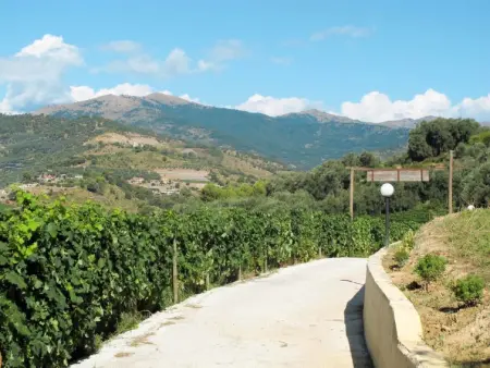 Le Terrazze del Geco Bungalow A (SLR300), Maison 4 personnes à San Lorenzo al Mare - Photo 25