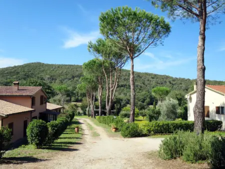 Gaia, Maison 2 personnes à Roccastrada - Photo 30