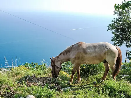 Dea Afrodite, Maison 6 personnes à Praiano - Photo 17