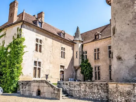 La Maison du Chateau, Maison 8 personnes à Etang sur Arroux - Photo 29
