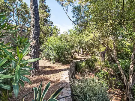 Von Salis, Villa 11 personnes à Ansedonia - Photo 37