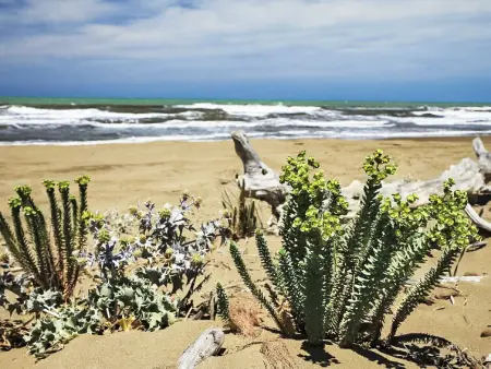 Von Salis, Villa 11 personnes à Ansedonia - Photo 44