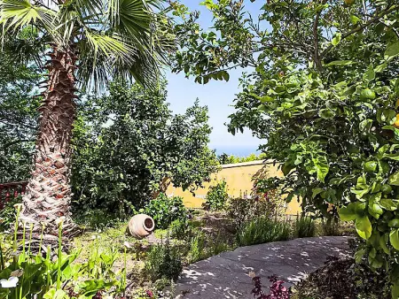 Camino La Candelaria, Maison 4 personnes à La Orotava - Photo 13