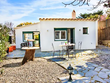 Maison à cadaques, Mimosa - L559398