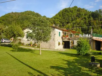 Maison à Codiponte, Il Frantoio - L53364