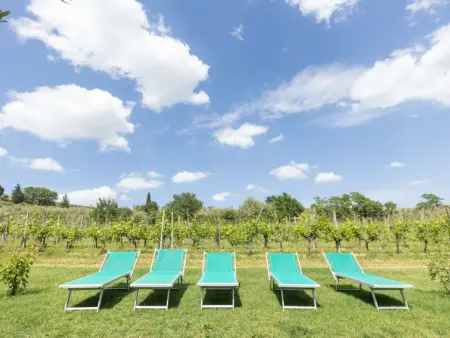 Le Buche, Gite 8 personnes à Castellina in Chianti - Photo 37