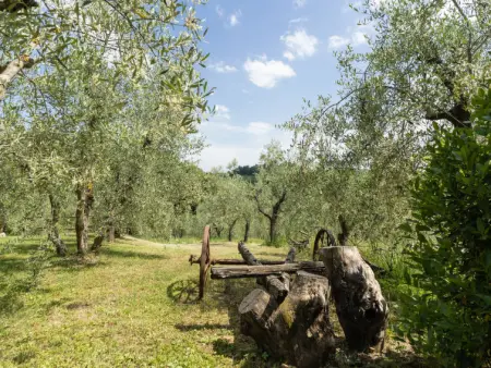 Le Buche, Gite 8 personnes à Castellina in Chianti - Photo 46
