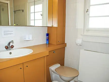 5, chemin de la Pralay, Maison 2 personnes à Genève - Photo 10