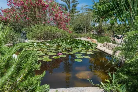 Casa Angela, Casa Angela - Villa Avec Piscine Privée à Capdepera - Photo 35