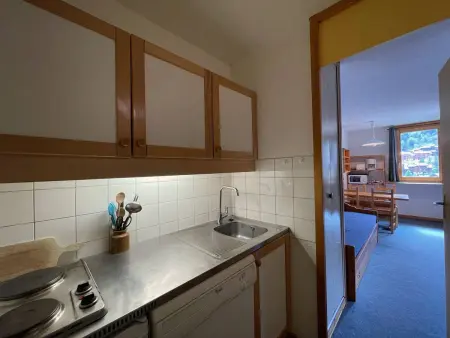 Studio confortable, proche pistes, animaux admis - Photo 7