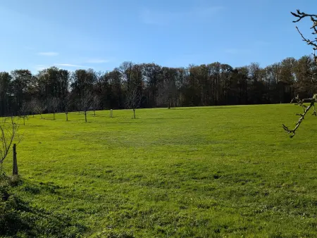 Gîte nature & confort rénové, Plateau des 1000 étangs - WIFI, parking - Photo 19