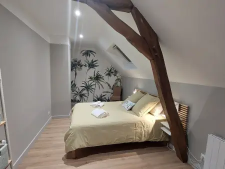 Maison de charme rénovée au cœur du Val de Loire avec parking et wifi inclus - Photo 7