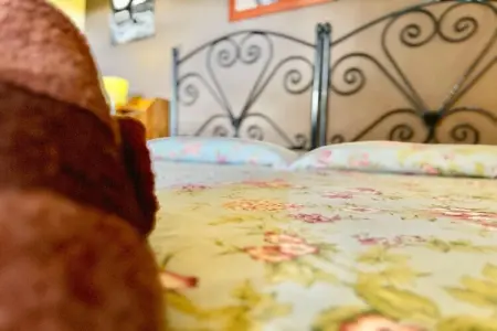 Abantos, Appartement de ferme avec piscine - Photo 22