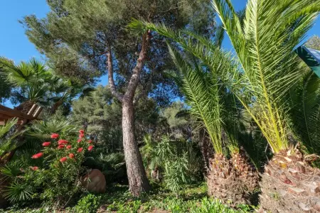 Camping Estival Torre de la Mora WOODEN BUNGALOW 5 PAX, Bungalow à Tarragone près de la plage - Photo 18