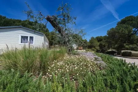 Camping Estival Torre de la Mora WOODEN BUNGALOW 5 PAX, Bungalow à Tarragone près de la plage - Photo 21