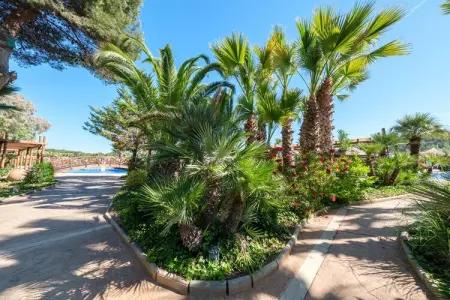 Camping Estival Torre de la Mora COCO TENT 4 Pax, Grande tente pour 4 personnes - Photo 15