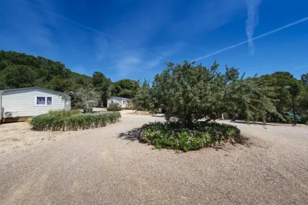 Camping Estival Torre de la Mora COCO TENT 4 Pax, Grande tente pour 4 personnes - Photo 30