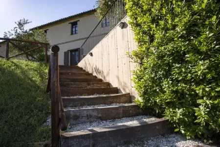 Moncaro, Ferme à Marche avec piscine et vins locaux - Photo 5