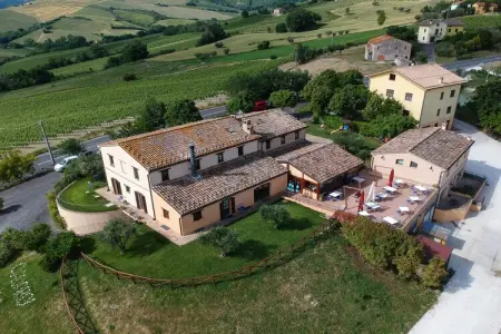 Moncaro, Ferme à Marche avec piscine et vins locaux - Photo 10