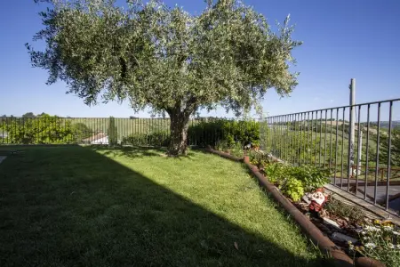 Moncaro, Ferme à Marche avec piscine et vins locaux - Photo 34