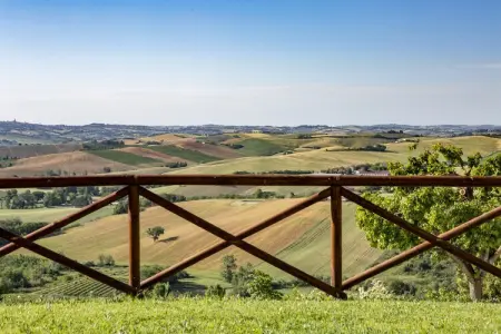 Moncaro, Ferme à Marche avec piscine et vins locaux - Photo 35