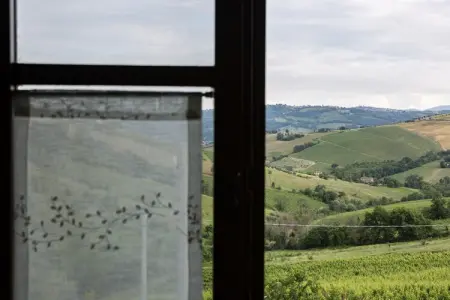 Moncaro, Ferme à Marche avec piscine et vins locaux - Photo 36