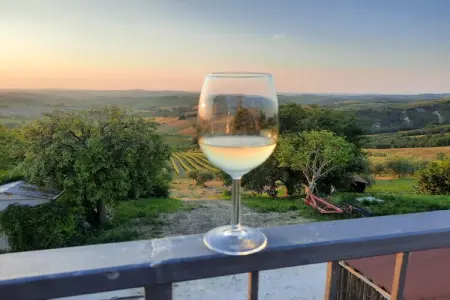 Moncaro, Ferme à Marche avec piscine et vins locaux - Photo 37