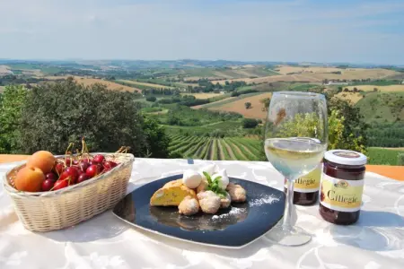 Moncaro, Ferme à Marche avec piscine et vins locaux - Photo 39