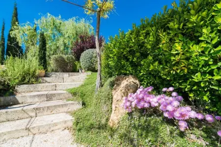 Son Ferragut, Finca avec piscine privée - Photo 37