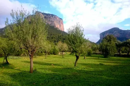 Ca Na Carme (alaronera), Retraite dans une villa de montagne rustique - Photo 26