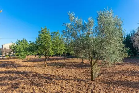 Can Antich, Villa spacieuse avec jardin - Photo 55