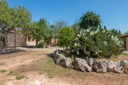 Can Rafalino, Maison à Llubí avec piscine et verger - Photo 32
