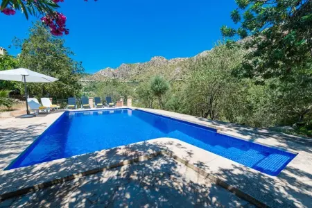 Sa Tarongera, Villa à Andratx avec piscine privée - Photo 10