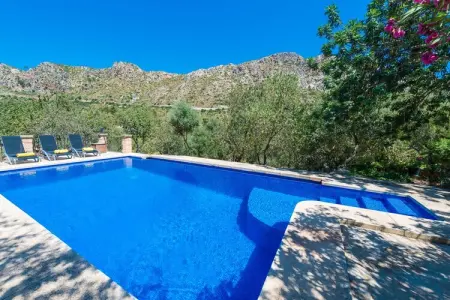 Sa Tarongera, Villa à Andratx avec piscine privée - Photo 14