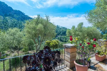 Sa Tarongera, Villa à Andratx avec piscine privée - Photo 41