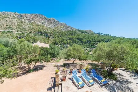 Sa Tarongera, Villa à Andratx avec piscine privée - Photo 43