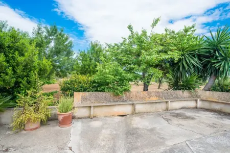 S'alqueria, Villa à Campanet avec piscine privée - Photo 39