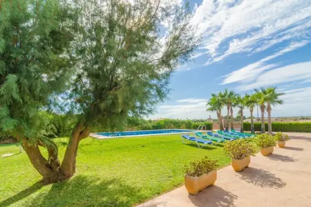 Torre Marina (alga Marina), Villa à Ses Covetes près d'Es Trenc - Photo 23