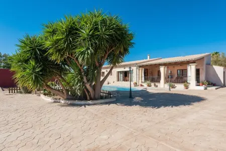 Es Blanquer De Na Fani, Villa à Binissalem avec piscine salée - Photo 6