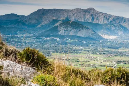 Sa Tanca (mancorina), Maison à Mancor de la Vall avec Vue Montagne - Photo 36