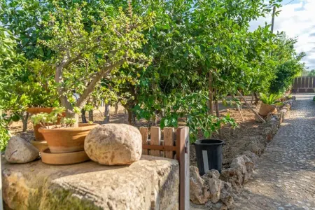 Finca Son Matginet 18, Retraite Sineu avec piscine - Photo 41