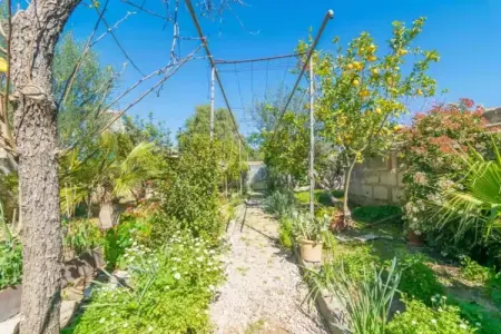 Construcciones Balaguer, Villa à Mancor avec piscine privée et jardin - Photo 29