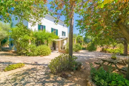Cas Pilot, Maison Rustique à Santa Maria avec Piscine Salée - Photo 6