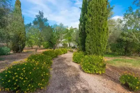 Cas Pilot, Maison Rustique à Santa Maria avec Piscine Salée - Photo 30