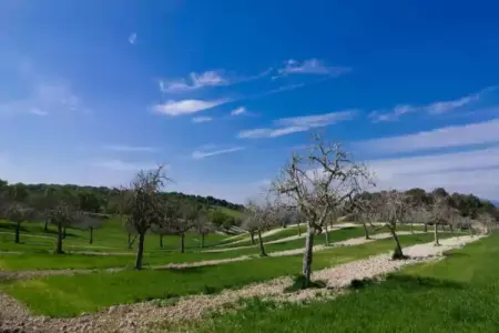 Son Vanrell, Maison Rustique à Montuiri avec Piscine - Photo 31
