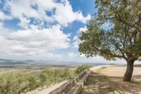 Can Joan Des Forn, Villa à Llubí avec piscine privée et jardin - Photo 24